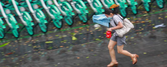 雨季八防内容 雨季八防的内容是什么