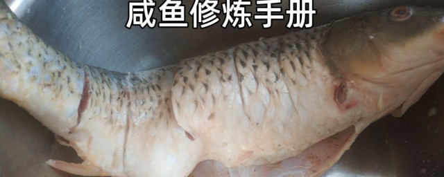 怎样轻松完整的杀鱼 轻松完整的杀鱼的诀窍