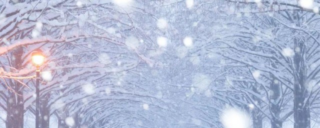 描写雪景的句子有哪些 雪的唯美的句子有哪些