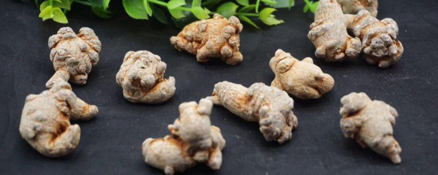 田七盆栽的种植技巧 田七盆栽怎样种植