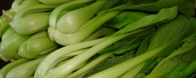 快菜是什么菜 快菜介绍