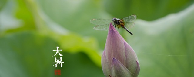 属于夏天的节气有哪些 24节气中属于夏季的节气有