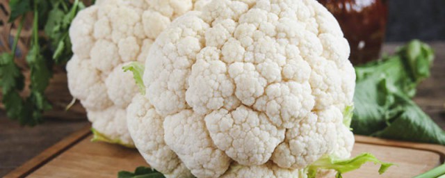 冬花菜种植时间及方法 冬花菜种植技术