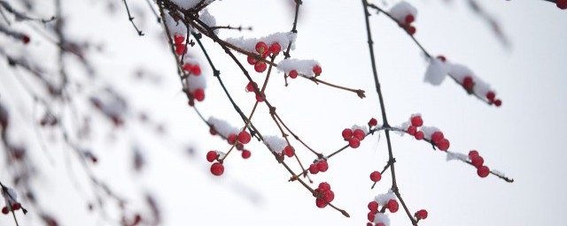 说他乡的雪美的句子 赞美雪景的句子精选