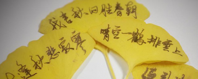 银杏叶自制书签的技巧 怎样用银杏叶自制书签