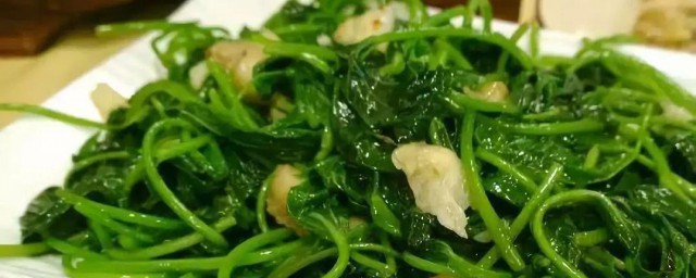 怎样炒薯叶 炒薯叶做法分享