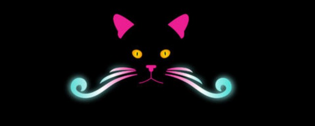 形容夜猫子的经典语录 关于夜猫子的句子