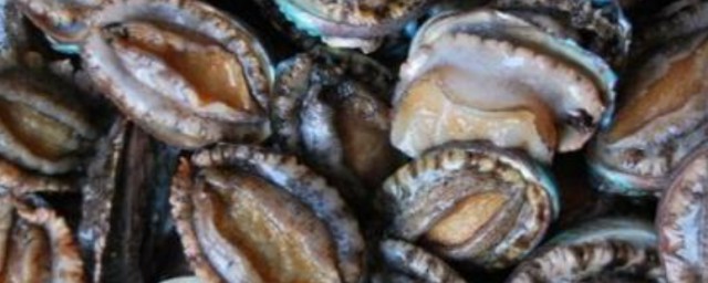新鲜鲍鱼怎样存放 新鲜鲍鱼怎样保存