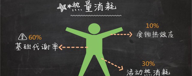 人体能量消耗主要包括哪几个方面 人体能量消耗主要方面简介