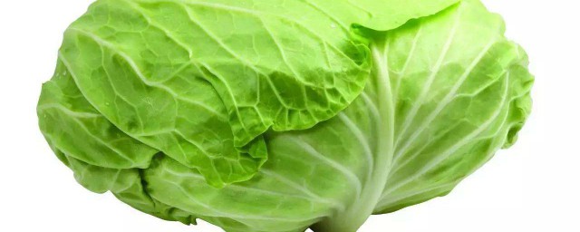 椒香圆白菜怎样做 椒香圆白菜的做法简介