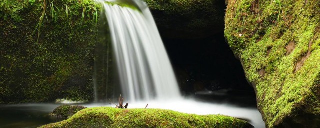 水泥地青苔最有效清除 水泥地上的青苔怎样消除