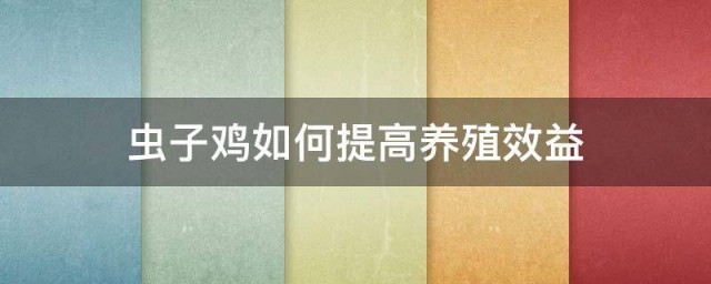 虫子鸡如何提高养殖效益 虫子鸡提高养殖效益的要领