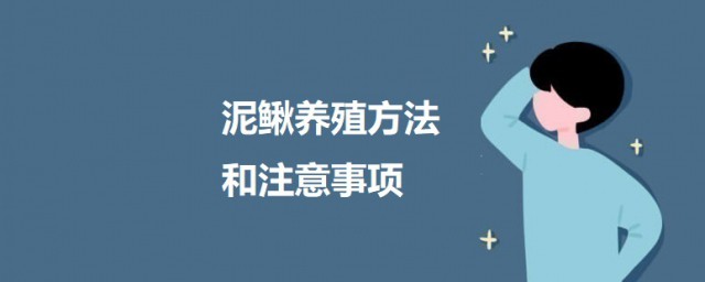 泥鳅养殖办法和注意事项 大棚泥鳅养殖要领和注意事项