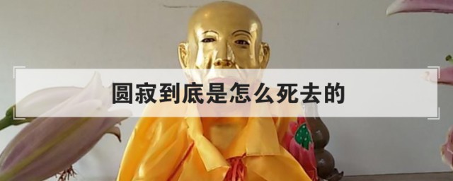 圆寂到底是怎样死去的 科普圆寂的意思