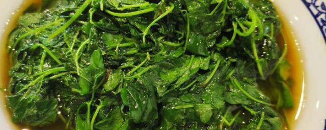 金花菜是什么菜 金花菜的功效