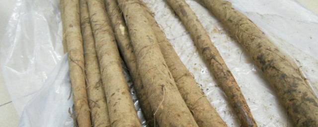 新鲜牛蒡怎样保存 怎样保存新鲜牛蒡