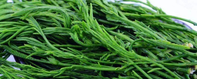 臭菜的功效与作用怎样吃 臭菜的简单简介