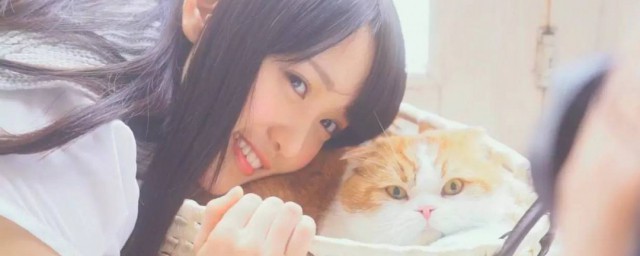 akb48成员名单介绍 akb48成员名单都有谁