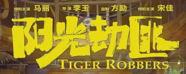 阳光劫匪剧情介绍 阳光劫匪剧情是什么