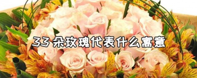 三十三朵玫瑰花语是代表什么 33朵玫瑰代表什么寓意