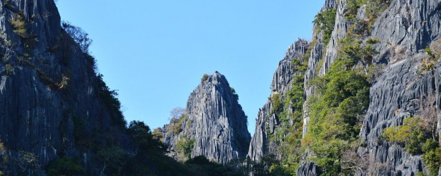 两岸青山相对出是什么意思 两岸青山相对出的原文及翻译