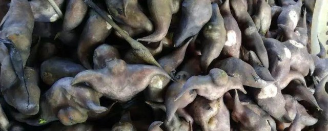 菱角清洗技巧 怎样清洗菱角