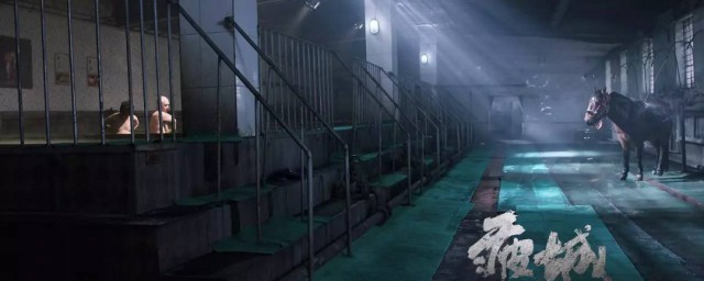 疲城什么时候上映 疲城剧情简介