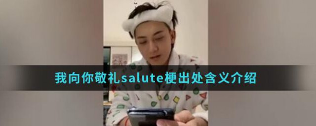 我向你敬礼salute是什么梗 我向你敬礼salute含义