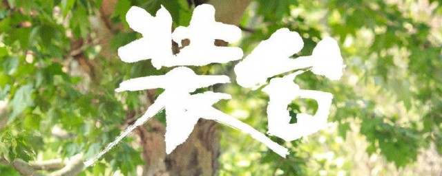 装台刁大顺三任妻子分别是谁 装台简介