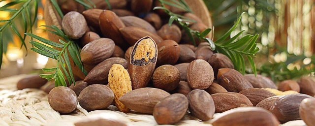 香榧坚果的功效与作用 香榧坚果的好处简介