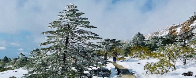 艳阳天里大雪纷飞是真的吗 艳阳天里会不会大雪纷飞