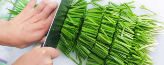 韭菜用醋熬水的注意事项 韭菜用醋熬水的功效与作用