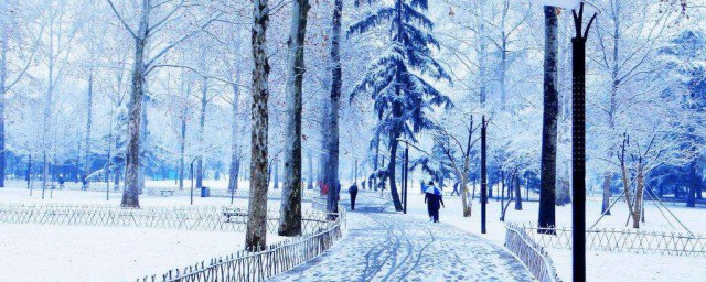 有关雪的优美句子 描写雪的优美句子大全