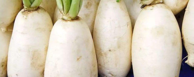 冬天吃萝卜的功效与作用 冬天吃萝卜的功效与作用是什么呢