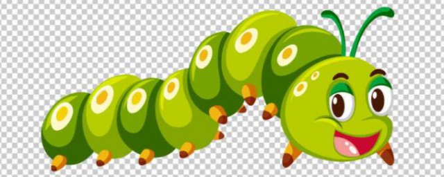 毛毛虫是怎样变成蝴蝶的 毛毛虫是怎样蜕变的