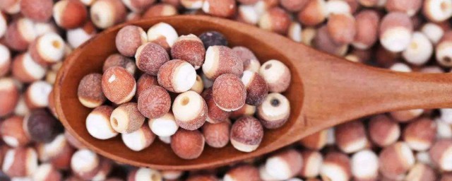 炒芡实功效与作用 炒芡实功效与作用是什么呢