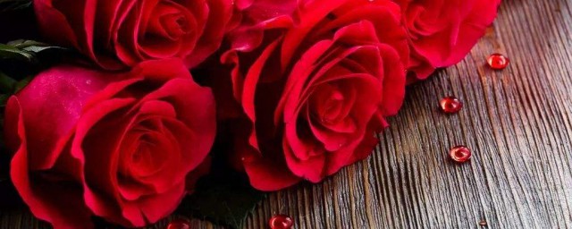 送12朵玫瑰花代表什么 不同颜色的玫瑰花代表的意思