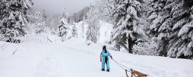 如何拍雪景 如何拍出来的雪景更加好看