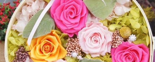 送永生花代表什么 永生花简介