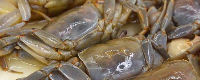 醉小蟹的精确食用技巧 怎样精确食用醉小蟹