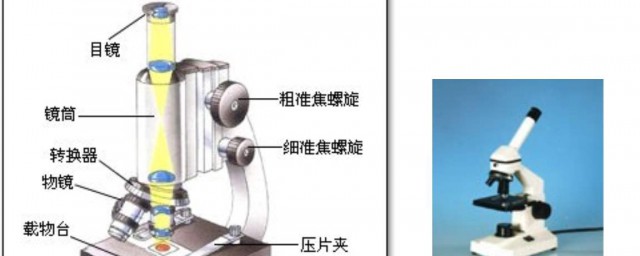 显微镜的精确使用技巧 怎样精确使用显微镜