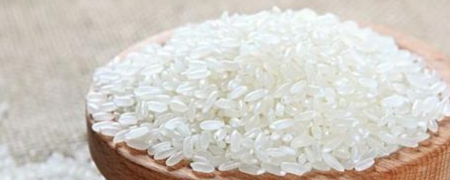 大米的功效与作用禁忌 大米的功效和注意事项简介
