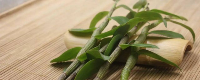 怎样食用石斛 食用石斛技巧简介