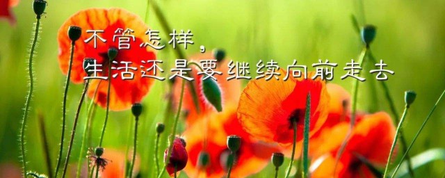 2023人生励志的简短句子 2023励志的句子致自己简短