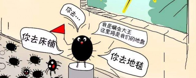 怎样消灭螨虫 日常生活中怎样消灭螨虫