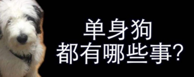 怎样做一条快乐的单身狗 做一个快乐的单身狗的技巧