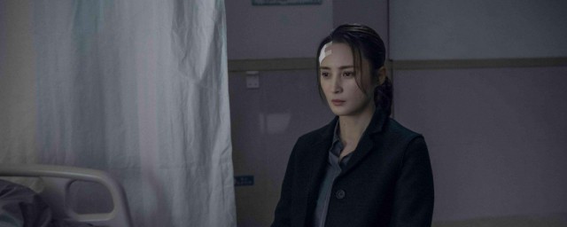 迷雾追踪剧情故事介绍 迷雾追踪的主演是谁