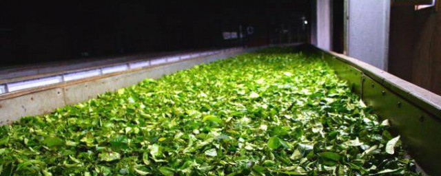 电热萎凋槽使用技巧 萎凋槽工作原理简介