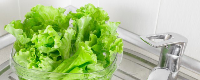 树荫下适合种什么菜 哪些蔬菜适合种在树荫下