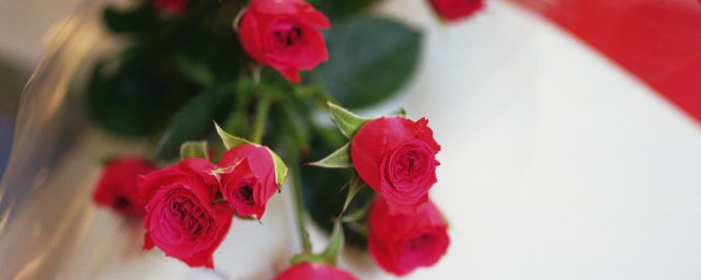 99朵花代表什么意思 99朵玫瑰花代表的含义